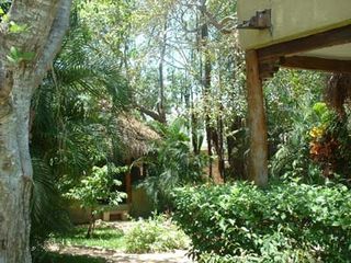 Playa_del_carmen_garden2